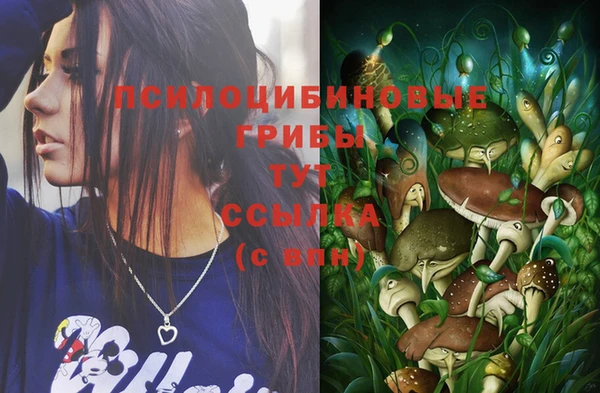 экстази Бородино