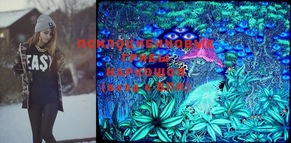 экстази Бородино