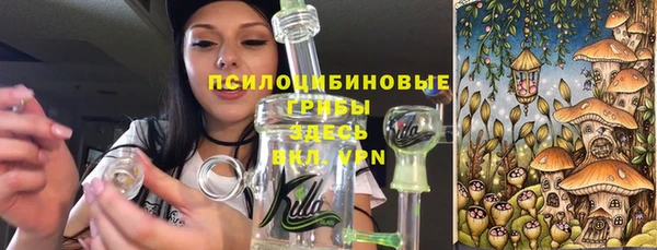 герыч Бронницы